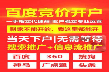 成功企业的SEM竞价优化经验与启示